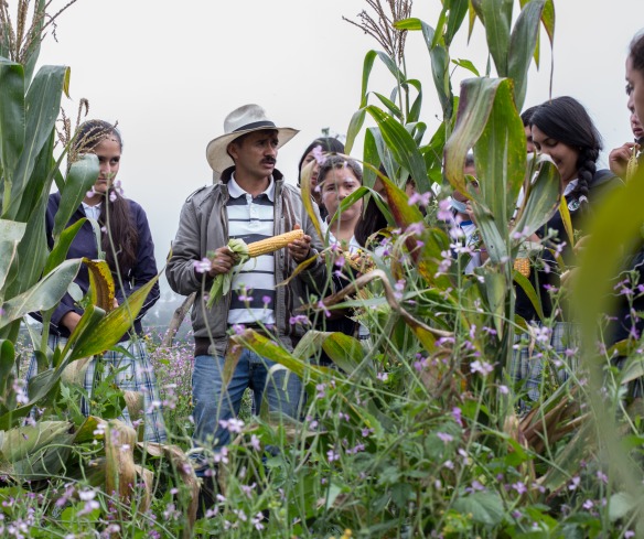 A professor stands in a field and teaches students in Samaniego, Colombia, about food safety and organic farming as part of Action Against Hunger’s food security program.