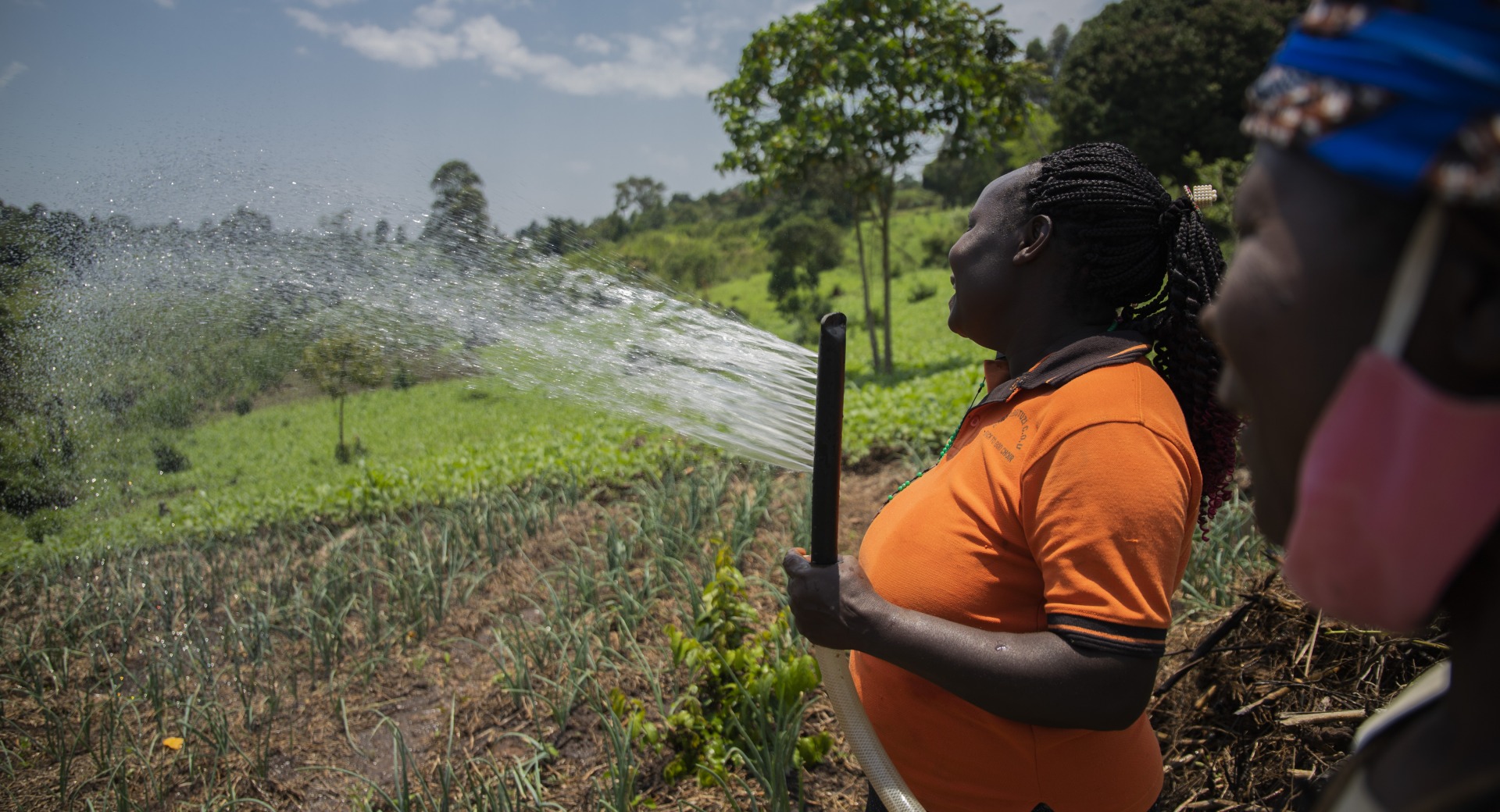 A woman waters her crops.