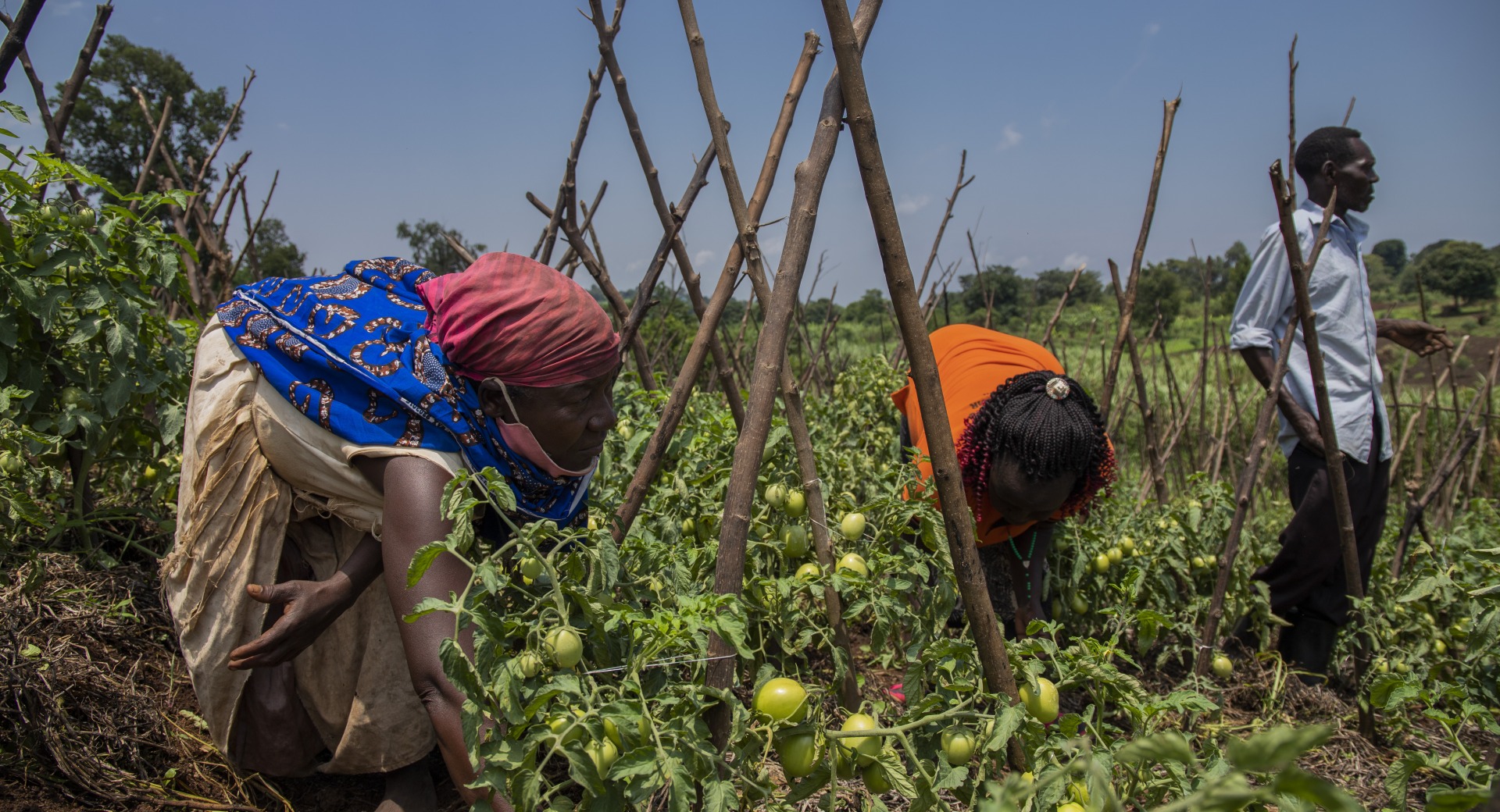In Uganda, Action Against Hunger is helping refugees and host communities make the most of their land and existing resources to grow a variety of nutritious crops.